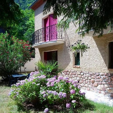 Appartement 48 M2 Avec Jardin Au Rdc Dans Villa A 5 Min A Pied Des Thermes De Vernet-Les-Bains, Location De Samedi A Samedi Eksteriør billede