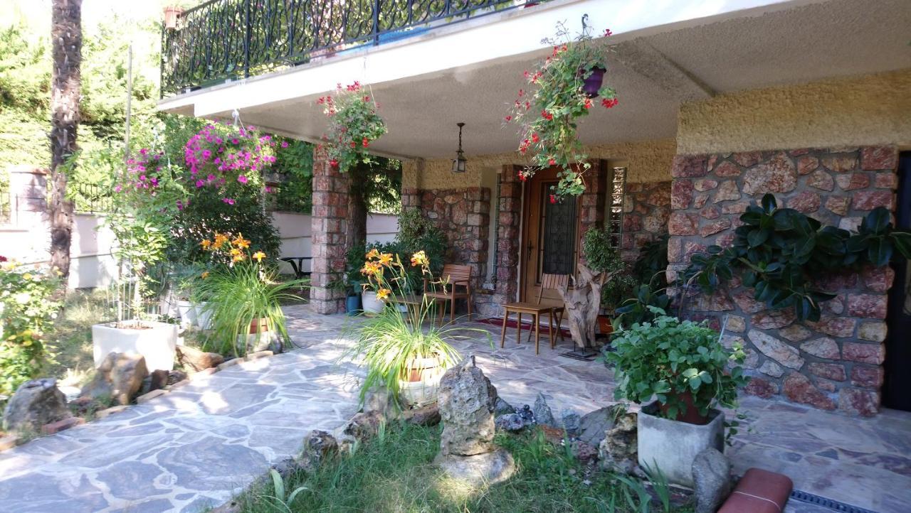 Appartement 48 M2 Avec Jardin Au Rdc Dans Villa A 5 Min A Pied Des Thermes De Vernet-Les-Bains, Location De Samedi A Samedi Eksteriør billede